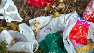 plastiktueten